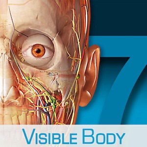 Human Anatomy Atlas 7.4 Mac破解版-史蒂芬周的博客