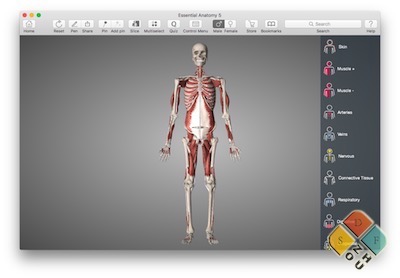 essential anatomy 5 for mac download