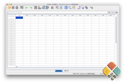 SPSS Statistics 主界面