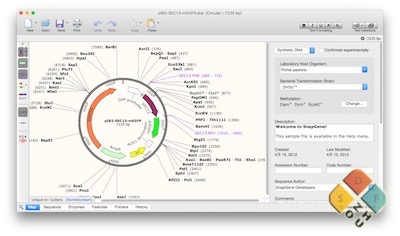 SnapGene 主界面